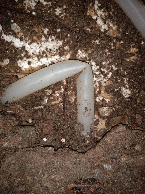 尚志堵点精准查找